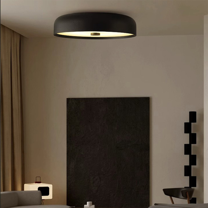 Retro LED Ceiling Light Fixture