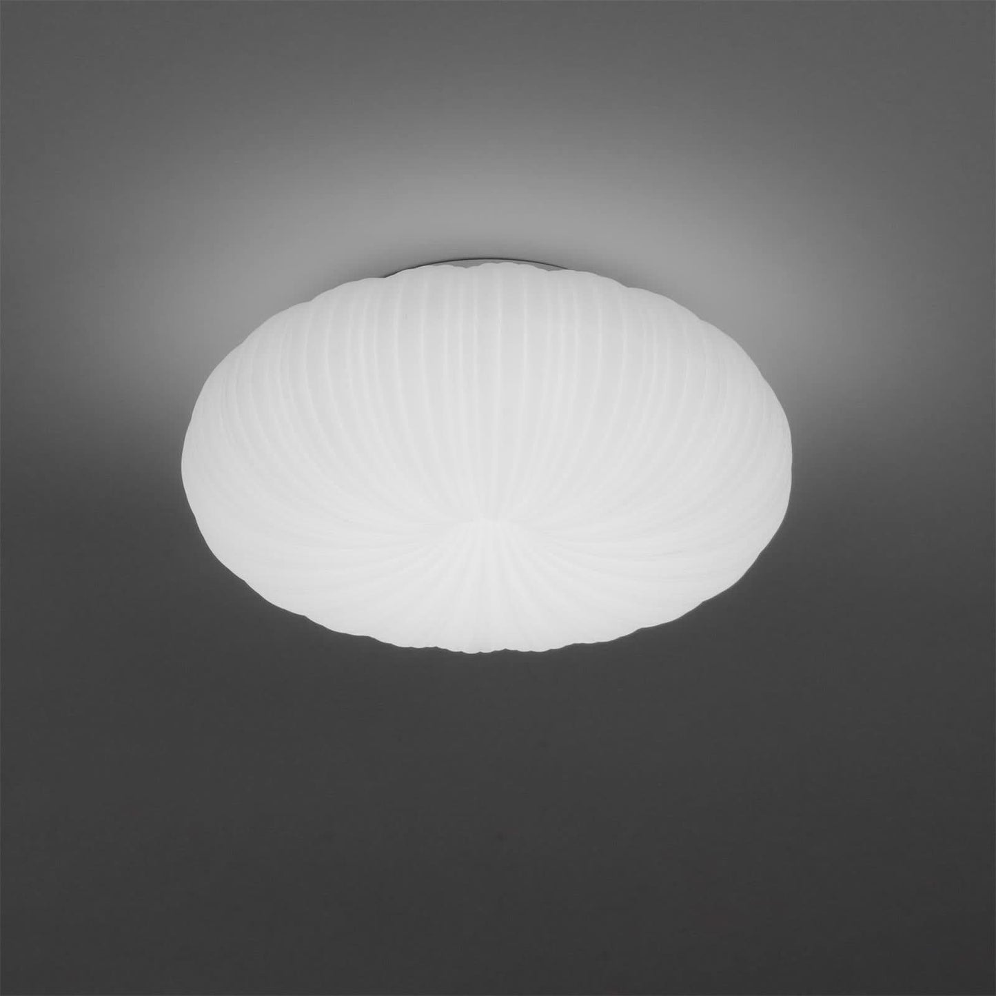 Smart Remote LED Ceiling Light Fixture