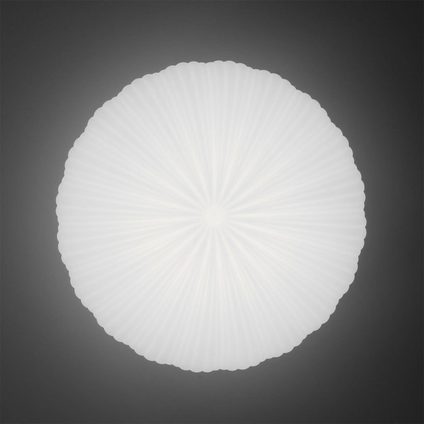 Smart Remote LED Ceiling Light Fixture