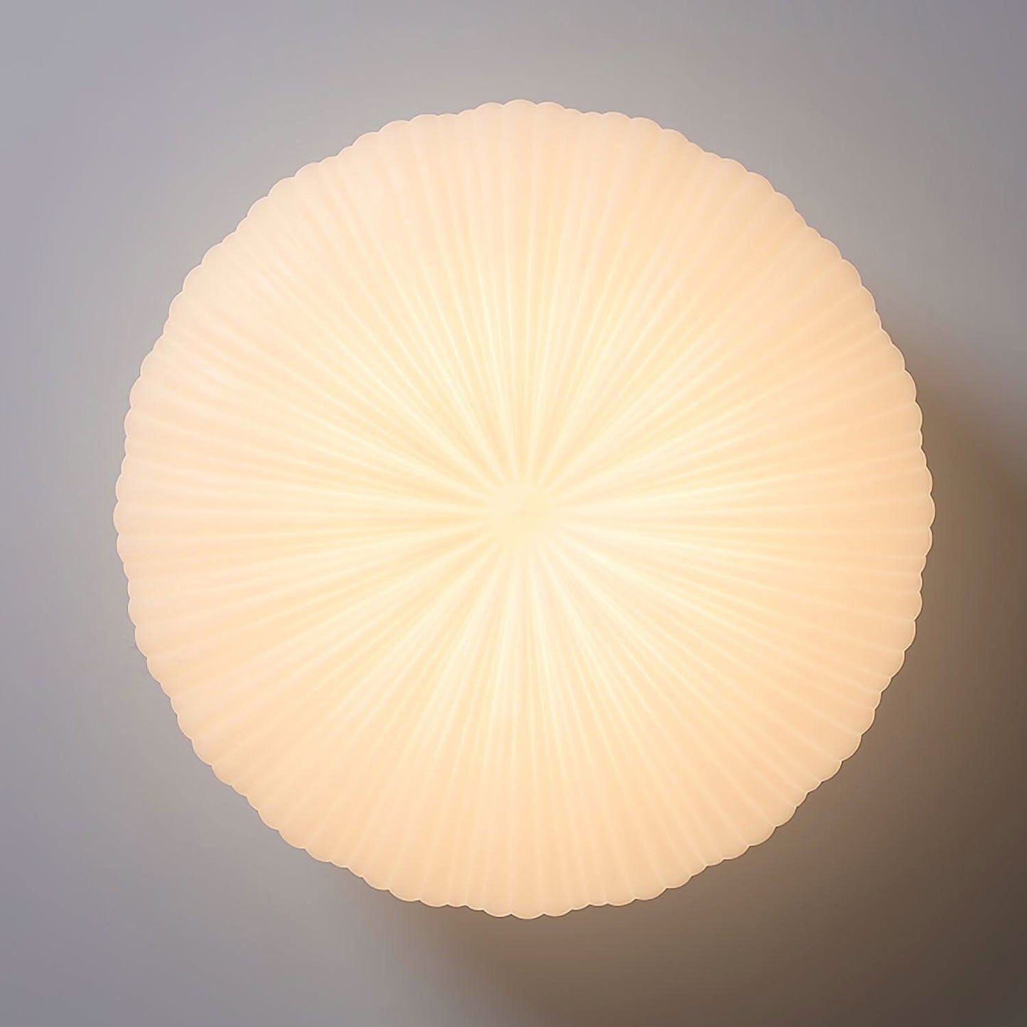 Smart Remote LED Ceiling Light Fixture