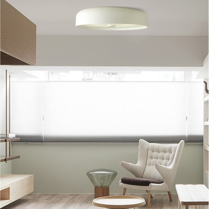 Retro LED Ceiling Light Fixture