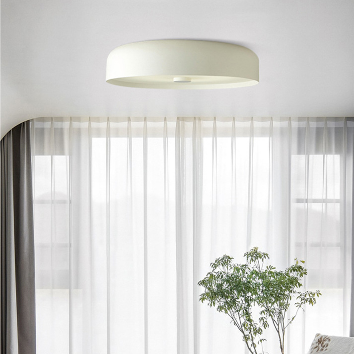 Retro LED Ceiling Light Fixture